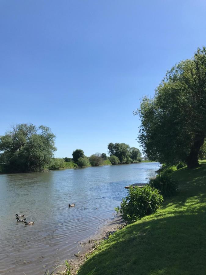 Gite Serenida Criquebeuf-sur-Seine المظهر الخارجي الصورة